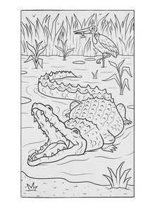 Alligator Smile Coloring Poster